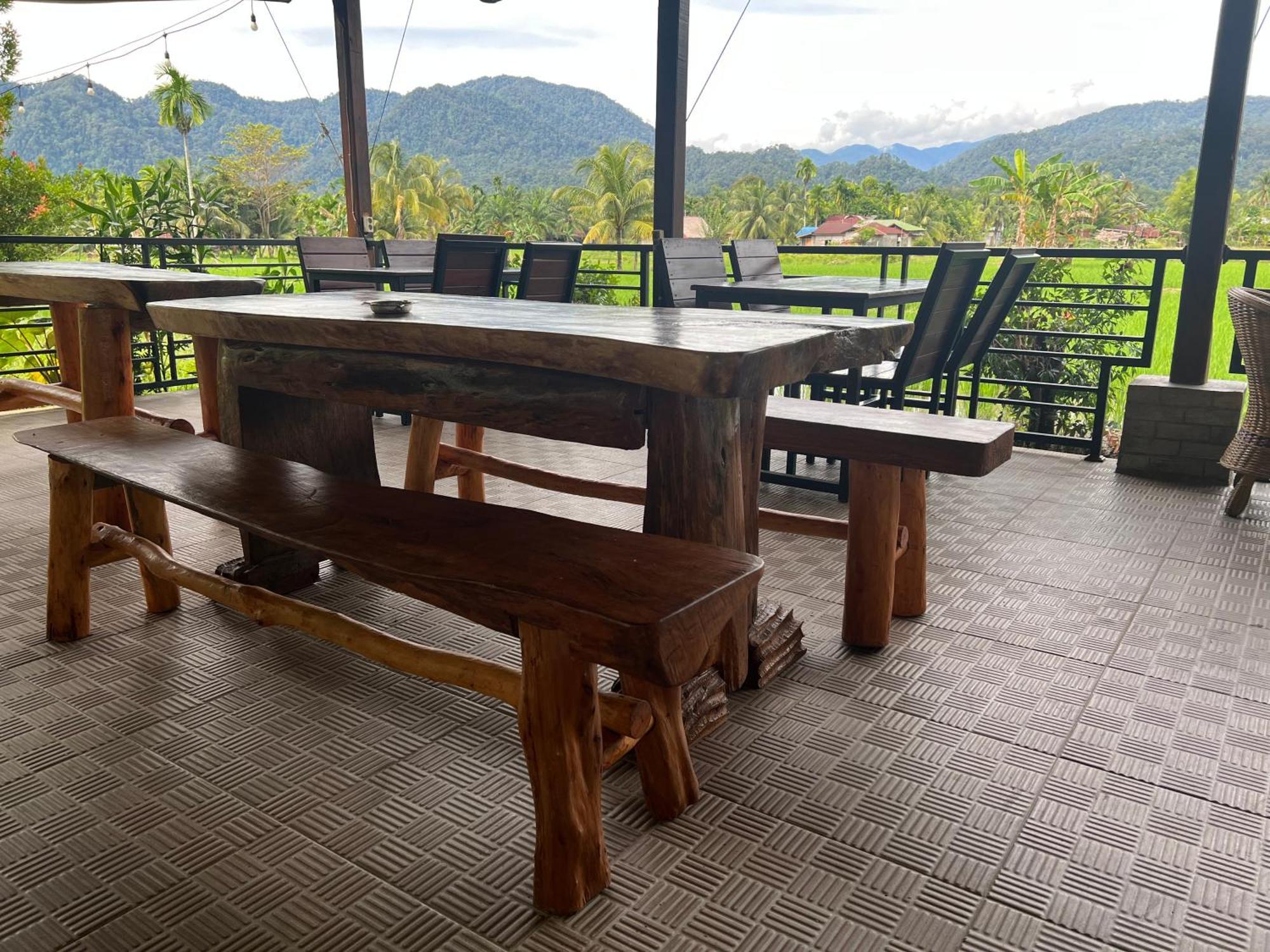 Gino'S Place - Guest House & Jungle Trekking Bukit Lawang Exterior photo